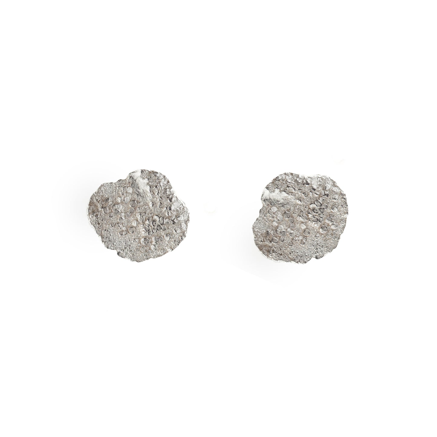 Beech studs - silver