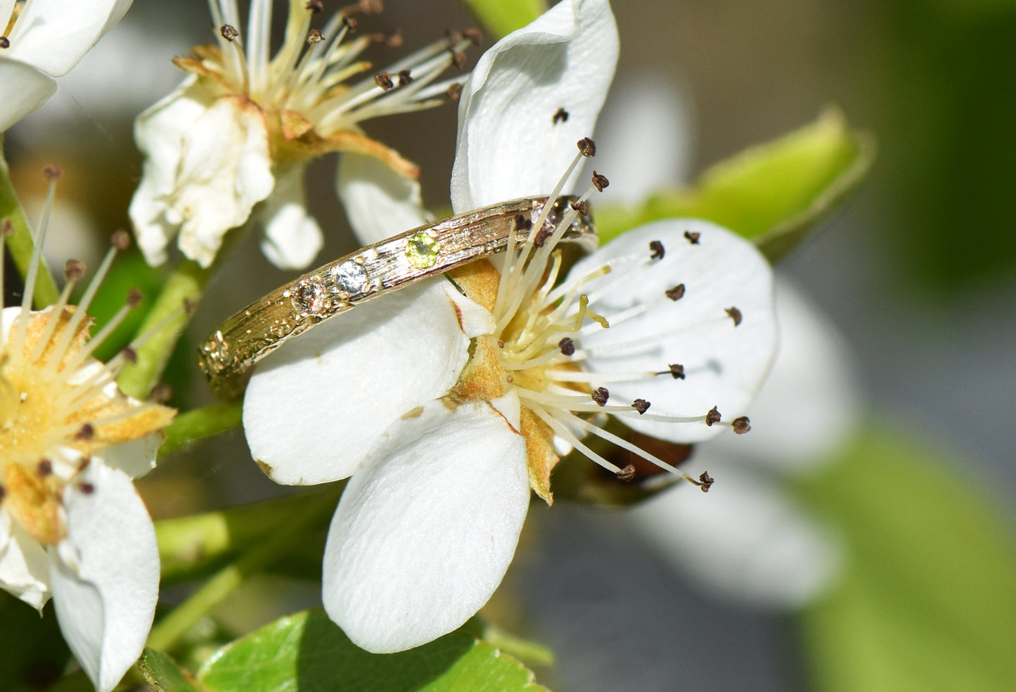 Corkscrew Willow Eternity Ring