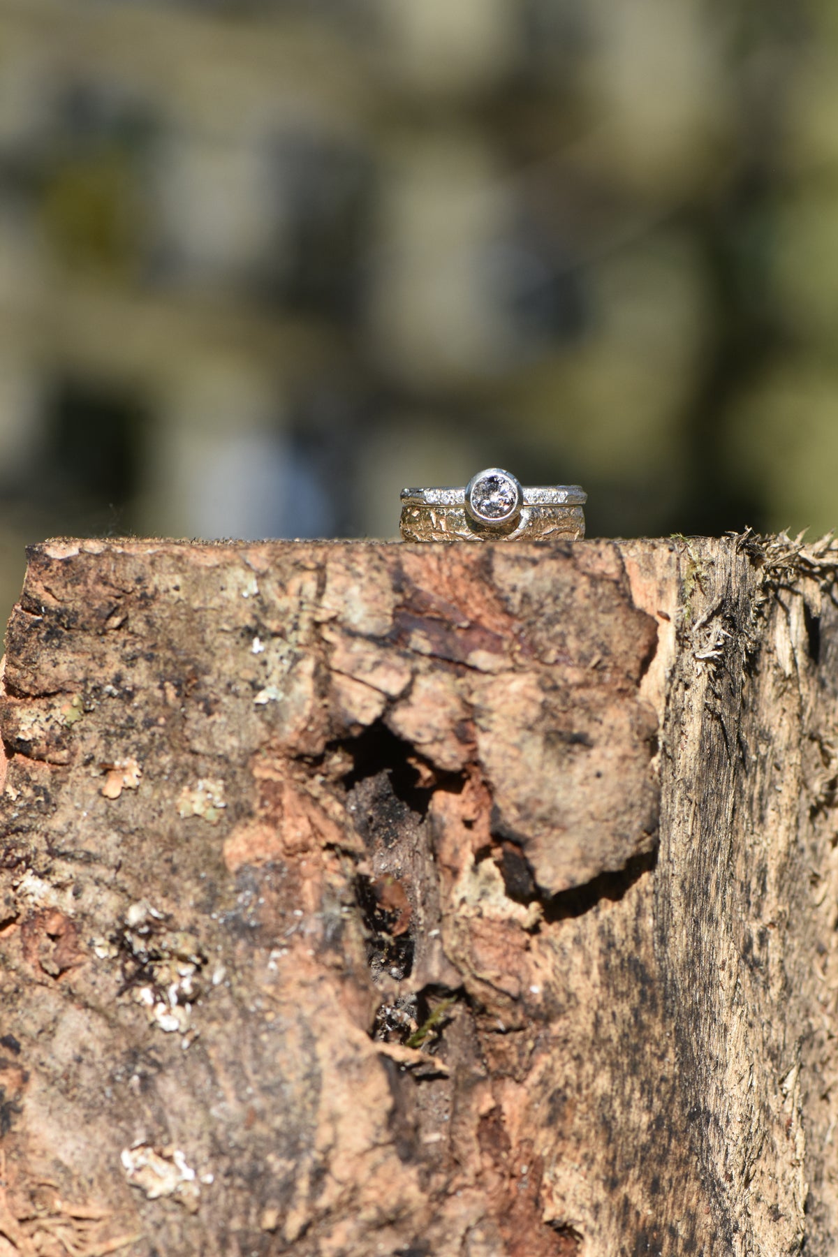 Skinny Oak ring - 9ct gold and salt and pepper diamond