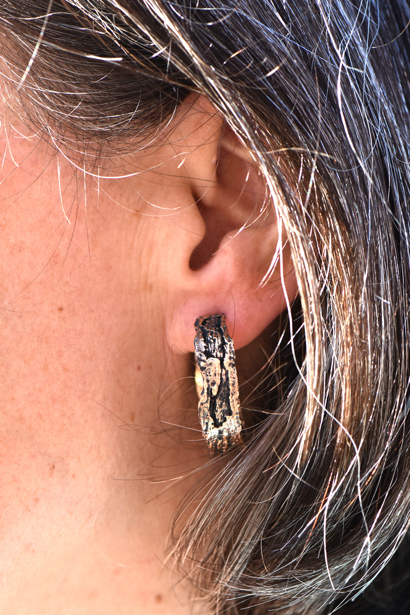 Large Bronze London Plane Hoops