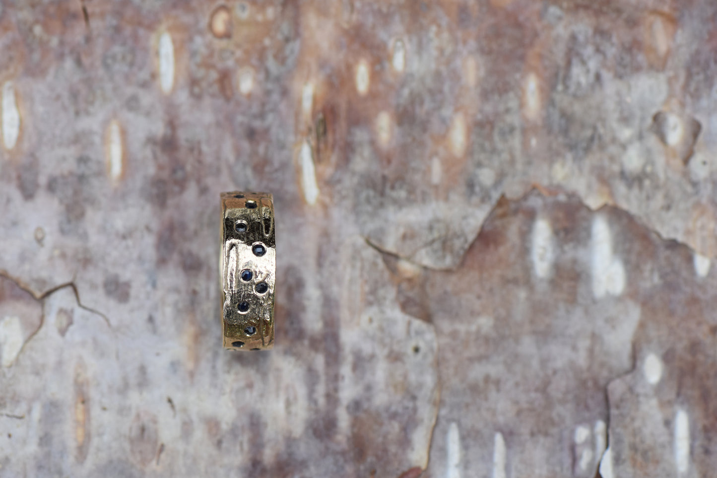 Silver Birch Scatter