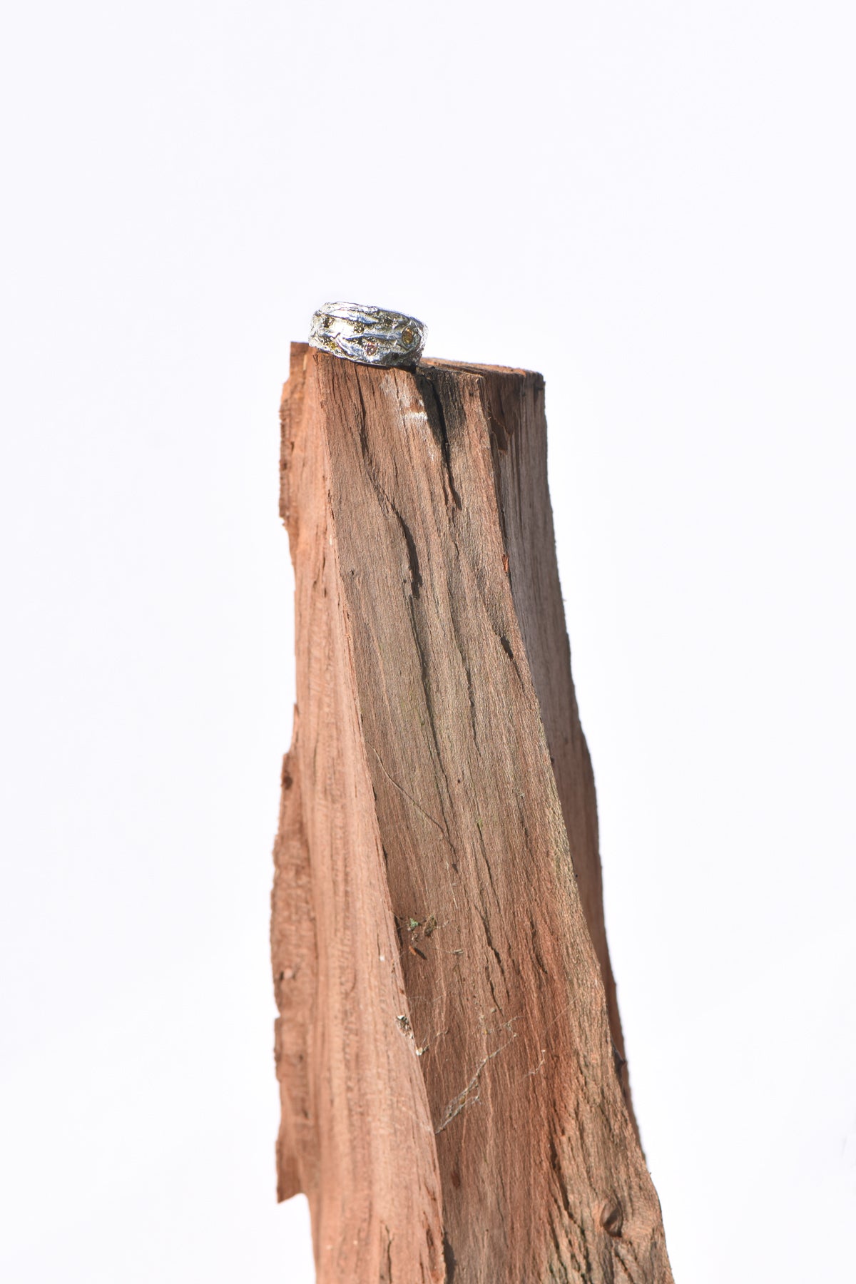 Apple tree and diamond ring - silver