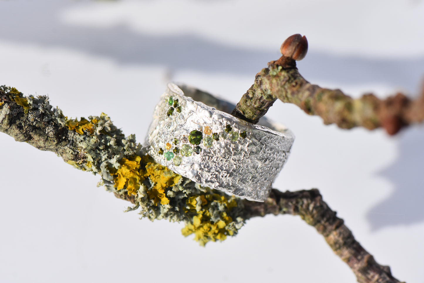 Beech  - Silver, tourmaline, sapphire, peridot and diamond