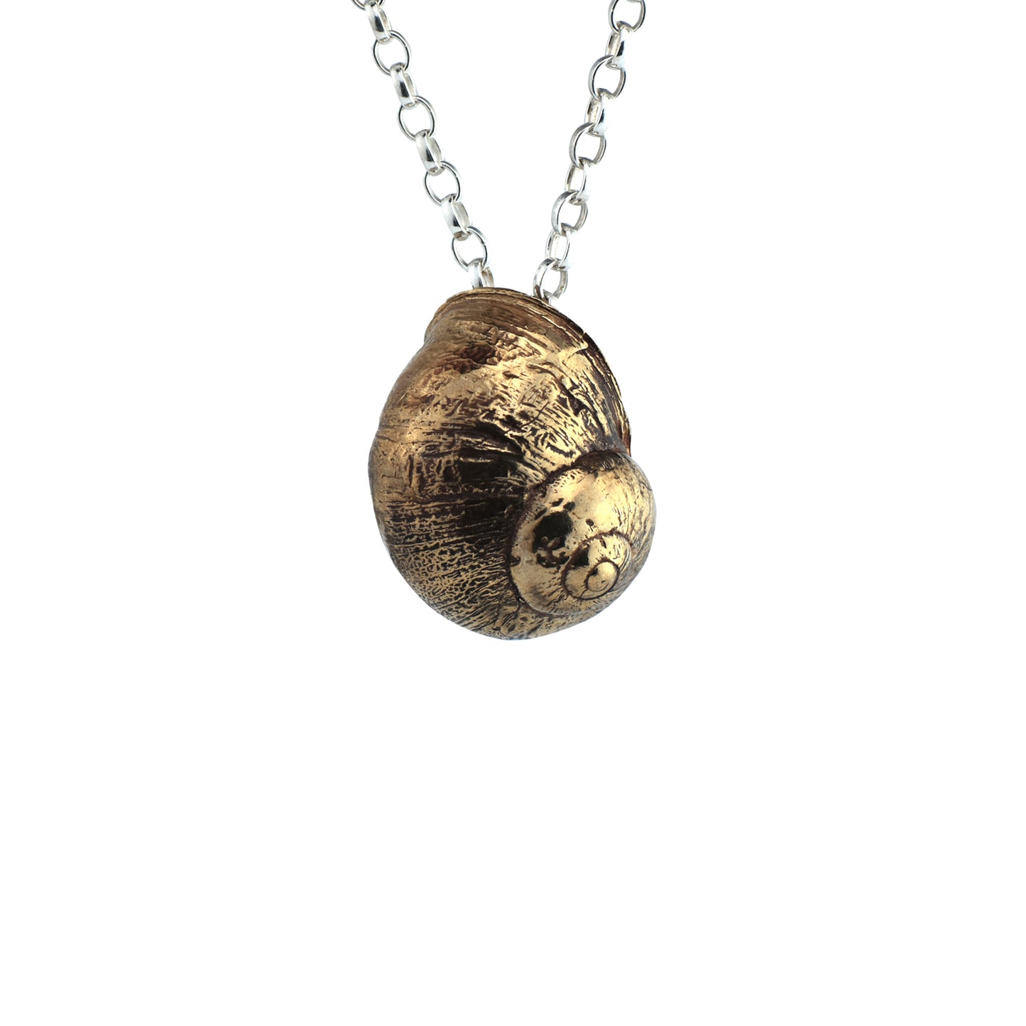 Snail Shell in Bronze